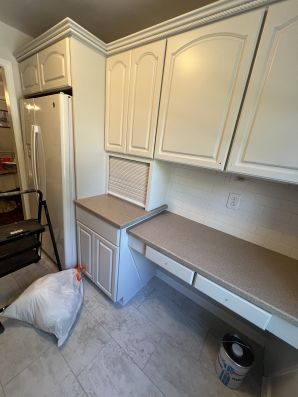 Cabinet Painting in Bronx, NY (2)