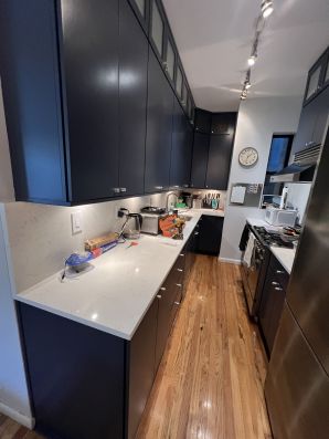 Cabinet Painting in Manhattan, NY (1)