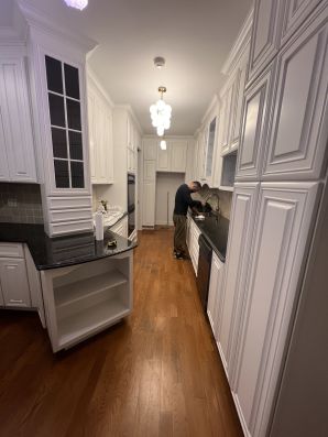 Cabinet Painting in Manhattan, NY (2)